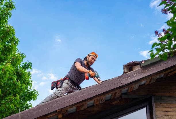 Reliable Pantops, VA Roofing service Solutions